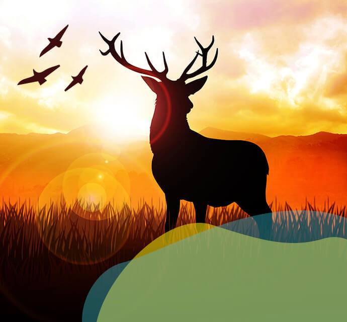 One page of Nov school