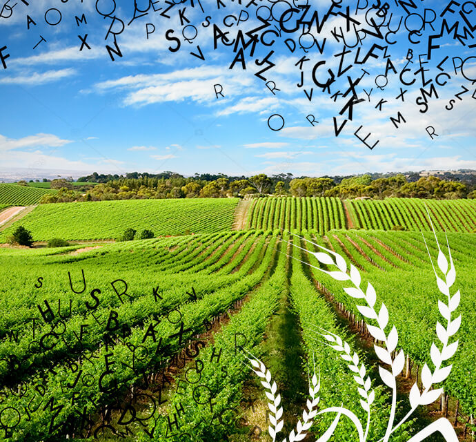 English website of Lema'aseh