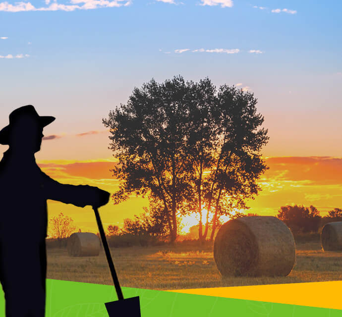 Website of Shmita - Torah VeHa'aretz Institute