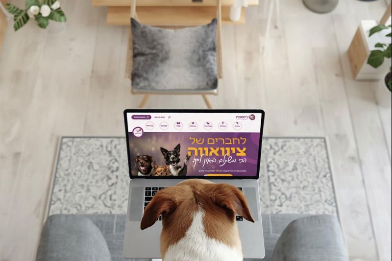 אתר חנות לצ'יוואווה