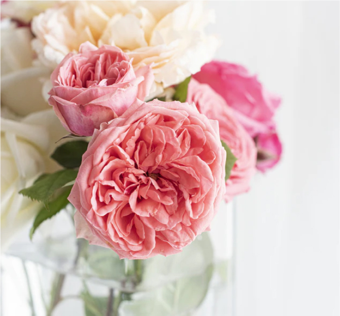 Website of flower forever